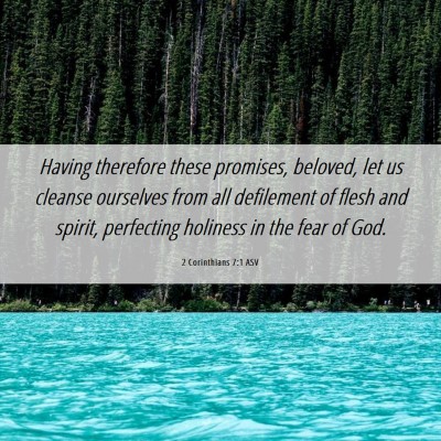 Picture 06 - 2 Corinthians 7:1 ASV - Having therefore these promises, beloved, let us - Bible Verse Picture