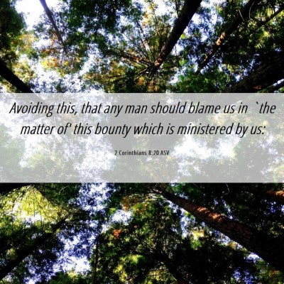 Picture 06 - 2 Corinthians 8:20 ASV - Avoiding this, that any man should blame us in - Bible Verse Picture