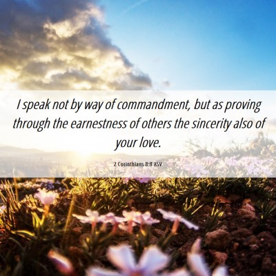 Picture 06 - 2 Corinthians 8:8 ASV - I speak not by way of commandment, but as proving - Bible Verse Picture