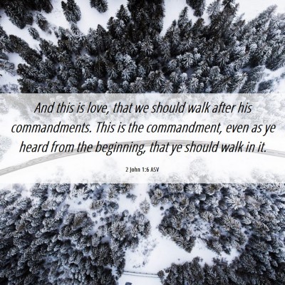 Picture 06 - 2 John 1:6 ASV - And this is love, that we should walk after his - Bible Verse Picture