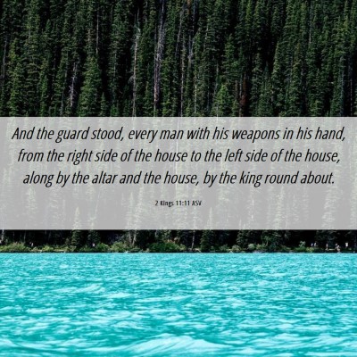 Picture 06 - 2 Kings 11:11 ASV - And the guard stood, every man with his weapons - Bible Verse Picture