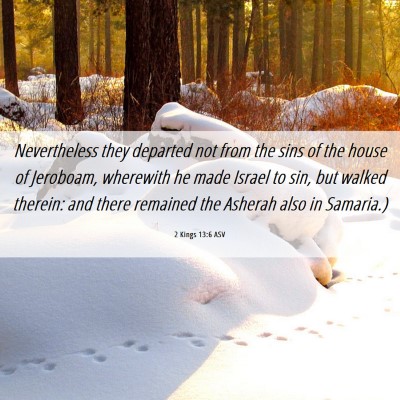 Picture 06 - 2 Kings 13:6 ASV - Nevertheless they departed not from the sins of - Bible Verse Picture