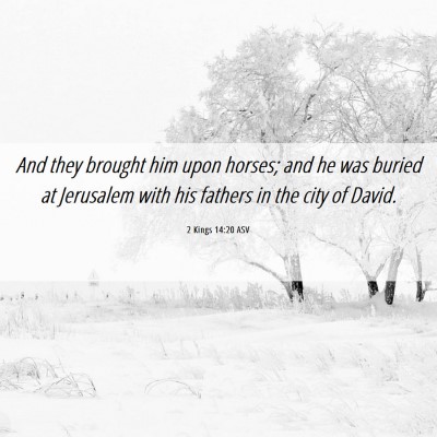 Picture 06 - 2 Kings 14:20 ASV - And they brought him upon horses; and he was - Bible Verse Picture
