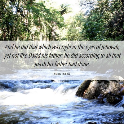 Picture 06 - 2 Kings 14:3 ASV - And he did that which was right in the eyes of - Bible Verse Picture