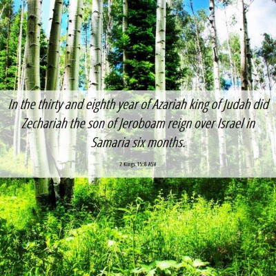 Picture 06 - 2 Kings 15:8 ASV - In the thirty and eighth year of Azariah king of - Bible Verse Picture