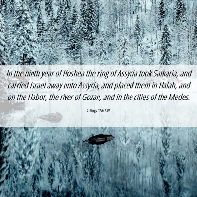 Picture 06 - 2 Kings 17:6 ASV - In the ninth year of Hoshea the king of Assyria - Bible Verse Picture