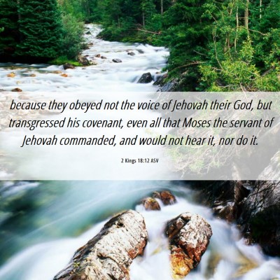 Picture 06 - 2 Kings 18:12 ASV - because they obeyed not the voice of Jehovah - Bible Verse Picture