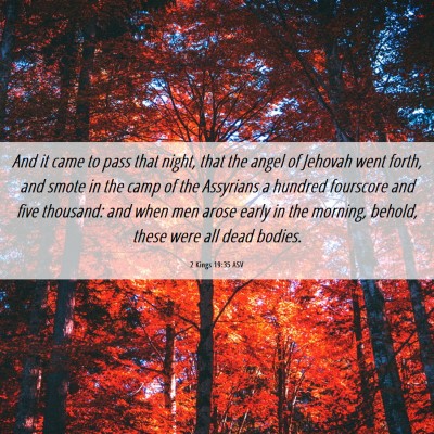 Picture 06 - 2 Kings 19:35 ASV - And it came to pass that night, that the angel of - Bible Verse Picture