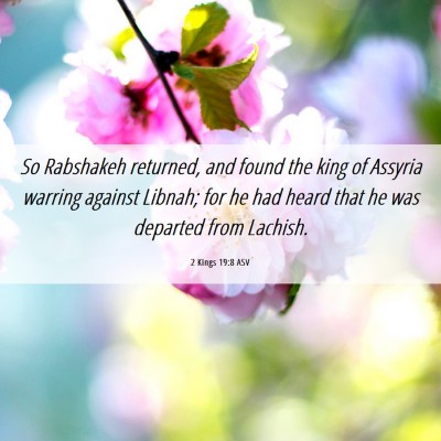 Picture 06 - 2 Kings 19:8 ASV - So Rabshakeh returned, and found the king of - Bible Verse Picture