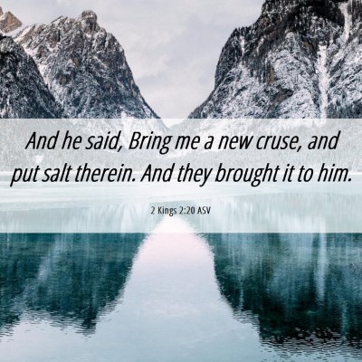 Picture 06 - 2 Kings 2:20 ASV - And he said, Bring me a new cruse, and put salt - Bible Verse Picture