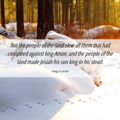 Picture 06 - 2 Kings 21:24 ASV - But the people of the land slew all them that had - Bible Verse Picture