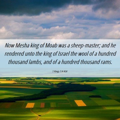 Picture 06 - 2 Kings 3:4 ASV - Now Mesha king of Moab was a sheep-master; and he - Bible Verse Picture
