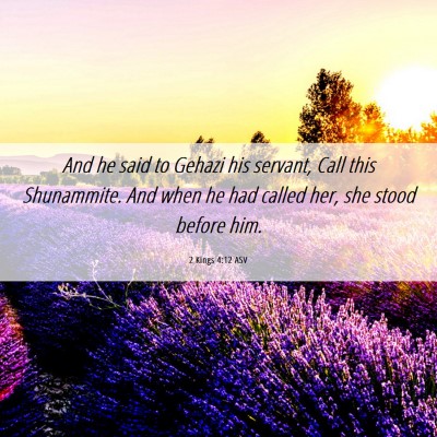 Picture 06 - 2 Kings 4:12 ASV - And he said to Gehazi his servant, Call this - Bible Verse Picture