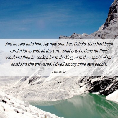 Picture 06 - 2 Kings 4:13 ASV - And he said unto him, Say now unto her, Behold, - Bible Verse Picture