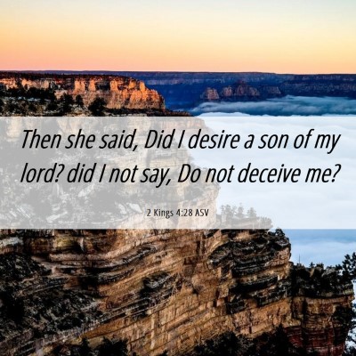 Picture 06 - 2 Kings 4:28 ASV - Then she said, Did I desire a son of my lord? did - Bible Verse Picture