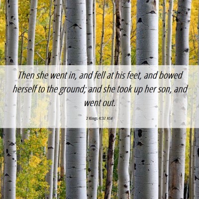 Picture 06 - 2 Kings 4:37 ASV - Then she went in, and fell at his feet, and bowed - Bible Verse Picture