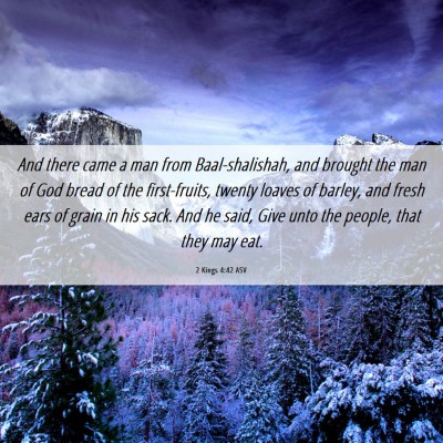 Picture 06 - 2 Kings 4:42 ASV - And there came a man from Baal-shalishah, and - Bible Verse Picture