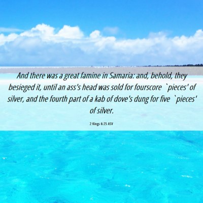 Picture 06 - 2 Kings 6:25 ASV - And there was a great famine in Samaria: and, - Bible Verse Picture
