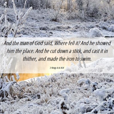 Picture 06 - 2 Kings 6:6 ASV - And the man of God said, Where fell it? And he - Bible Verse Picture