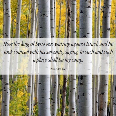 Picture 06 - 2 Kings 6:8 ASV - Now the king of Syria was warring against Israel; - Bible Verse Picture