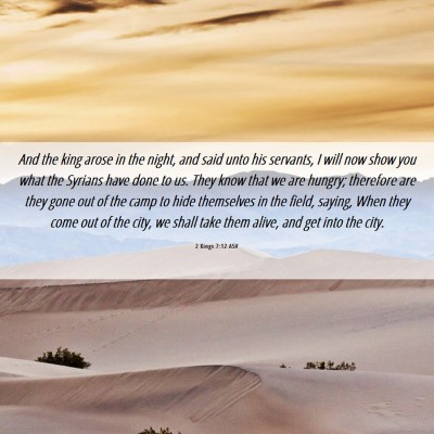 Picture 06 - 2 Kings 7:12 ASV - And the king arose in the night, and said unto - Bible Verse Picture