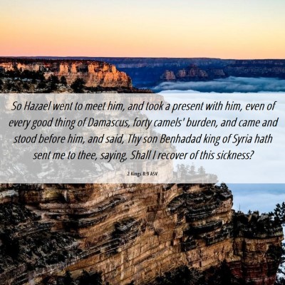 Picture 06 - 2 Kings 8:9 ASV - So Hazael went to meet him, and took a present - Bible Verse Picture
