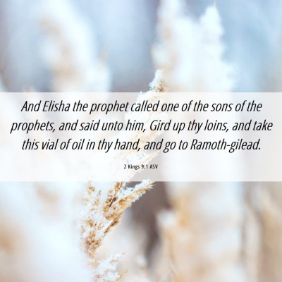 Picture 06 - 2 Kings 9:1 ASV - And Elisha the prophet called one of the sons of - Bible Verse Picture