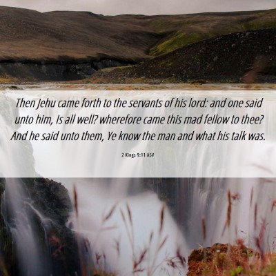 Picture 06 - 2 Kings 9:11 ASV - Then Jehu came forth to the servants of his lord: - Bible Verse Picture