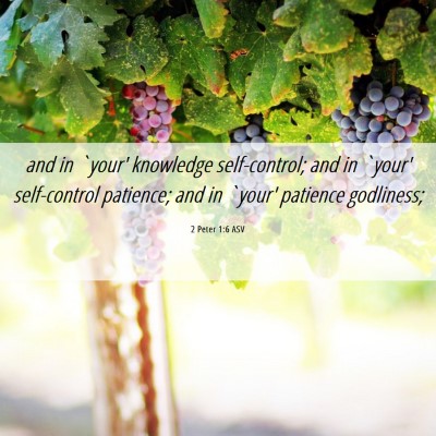 Picture 06 - 2 Peter 1:6 ASV - and in `your' knowledge self-control; and in - Bible Verse Picture