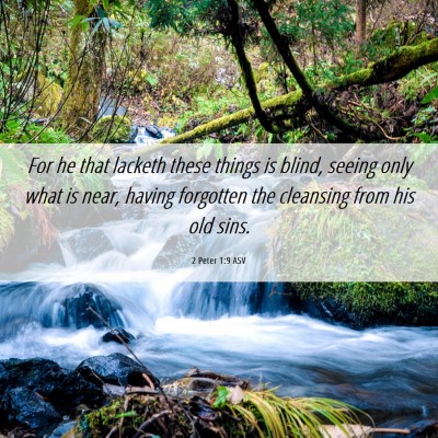 Picture 06 - 2 Peter 1:9 ASV - For he that lacketh these things is blind, seeing - Bible Verse Picture