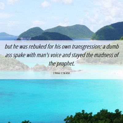 Picture 06 - 2 Peter 2:16 ASV - but he was rebuked for his own transgression: a - Bible Verse Picture
