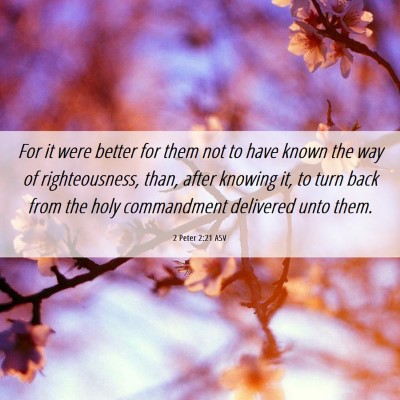 Picture 06 - 2 Peter 2:21 ASV - For it were better for them not to have known the - Bible Verse Picture