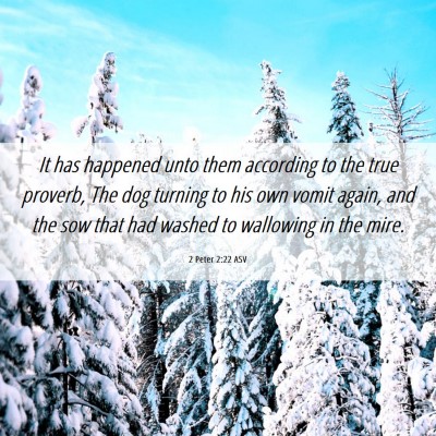 Picture 06 - 2 Peter 2:22 ASV - It has happened unto them according to the true - Bible Verse Picture
