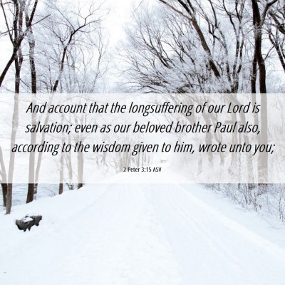 Picture 06 - 2 Peter 3:15 ASV - And account that the longsuffering of our Lord is - Bible Verse Picture