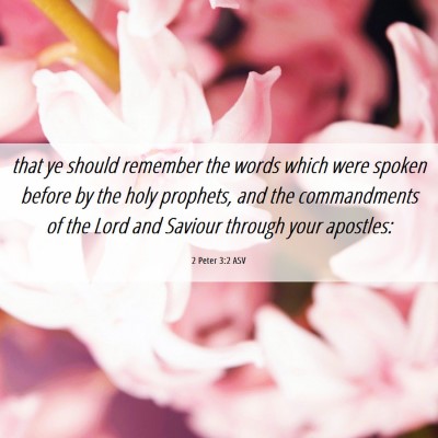 Picture 06 - 2 Peter 3:2 ASV - that ye should remember the words which were - Bible Verse Picture