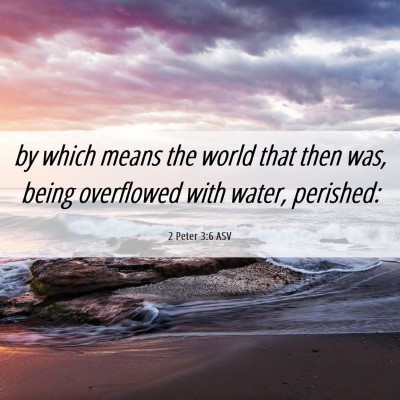 Picture 06 - 2 Peter 3:6 ASV - by which means the world that then was, being - Bible Verse Picture