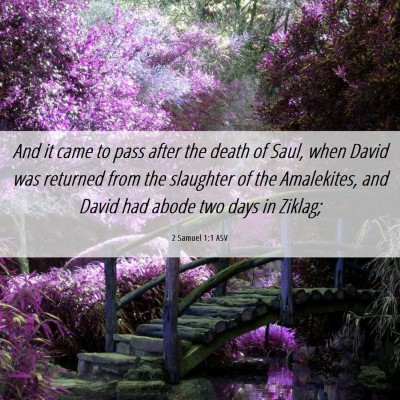 Picture 06 - 2 Samuel 1:1 ASV - And it came to pass after the death of Saul, when - Bible Verse Picture