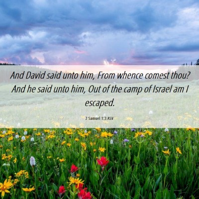 Picture 06 - 2 Samuel 1:3 ASV - And David said unto him, From whence comest thou? - Bible Verse Picture