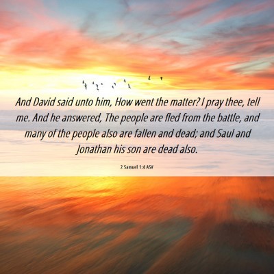 Picture 06 - 2 Samuel 1:4 ASV - And David said unto him, How went the matter? I - Bible Verse Picture