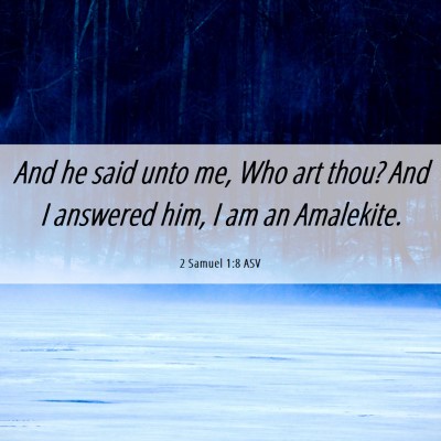 Picture 06 - 2 Samuel 1:8 ASV - And he said unto me, Who art thou? And I answered - Bible Verse Picture