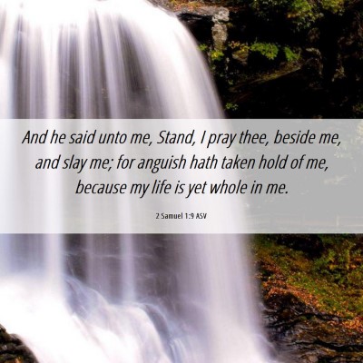 Picture 06 - 2 Samuel 1:9 ASV - And he said unto me, Stand, I pray thee, beside - Bible Verse Picture