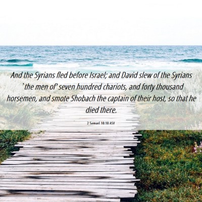 Picture 06 - 2 Samuel 10:18 ASV - And the Syrians fled before Israel; and David - Bible Verse Picture