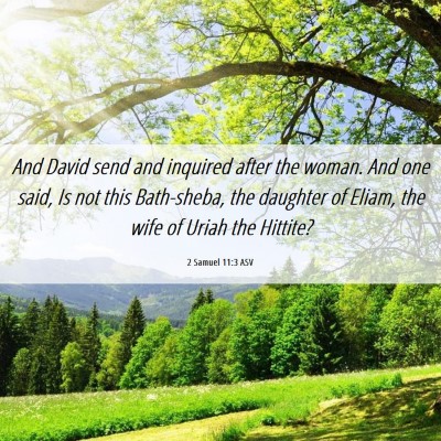 Picture 06 - 2 Samuel 11:3 ASV - And David send and inquired after the woman. And - Bible Verse Picture