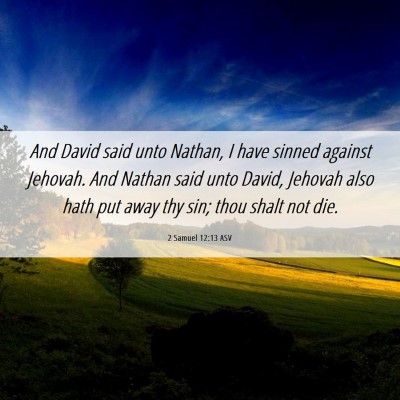 Picture 06 - 2 Samuel 12:13 ASV - And David said unto Nathan, I have sinned against - Bible Verse Picture