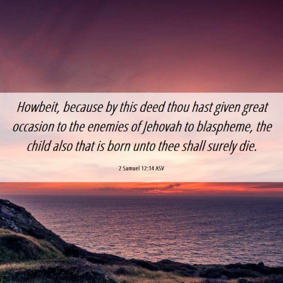 Picture 06 - 2 Samuel 12:14 ASV - Howbeit, because by this deed thou hast given - Bible Verse Picture