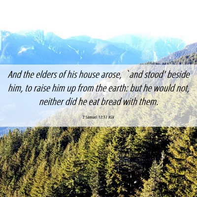 Picture 06 - 2 Samuel 12:17 ASV - And the elders of his house arose, `and stood' - Bible Verse Picture