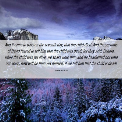 Picture 06 - 2 Samuel 12:18 ASV - And it came to pass on the seventh day, that the - Bible Verse Picture