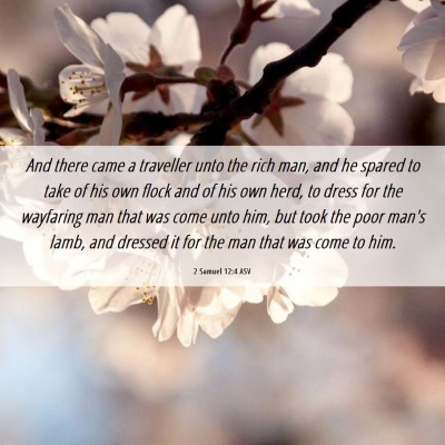 Picture 06 - 2 Samuel 12:4 ASV - And there came a traveller unto the rich man, and - Bible Verse Picture