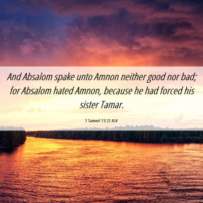 Picture 06 - 2 Samuel 13:22 ASV - And Absalom spake unto Amnon neither good nor - Bible Verse Picture