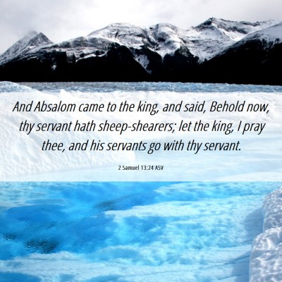 Picture 06 - 2 Samuel 13:24 ASV - And Absalom came to the king, and said, Behold - Bible Verse Picture